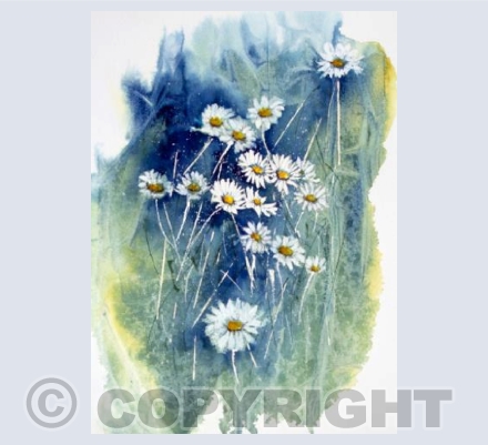 Card - Daisies