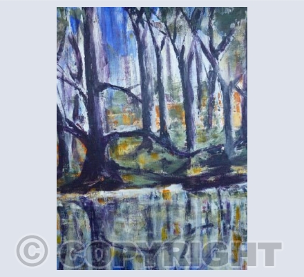 Rushy Pond 2