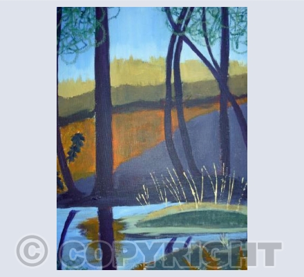 Rushy Pond 3