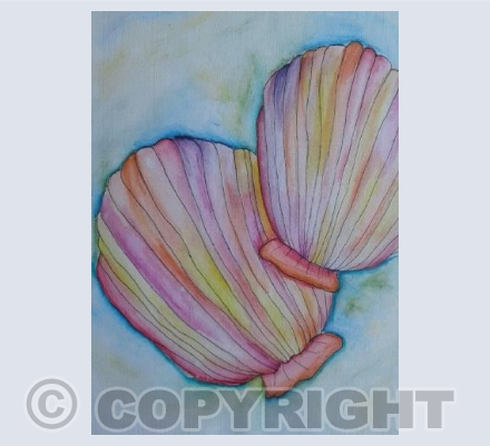 rainbow seashells