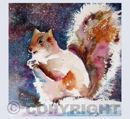 Squirrel