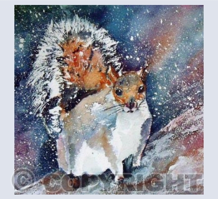 Squirrel 2