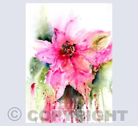 Christmas Poinsettia