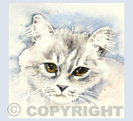 Lady Grey