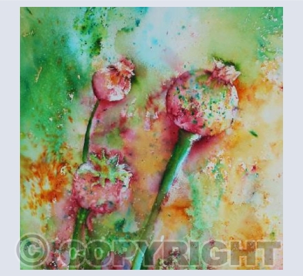 Brusho Poopy Seed Head