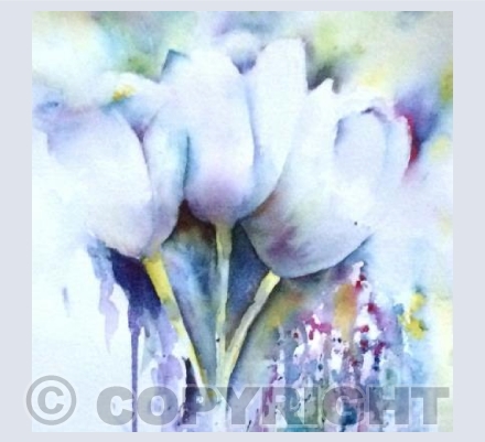 Tulips