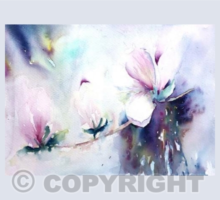 Magnificent Magnolia