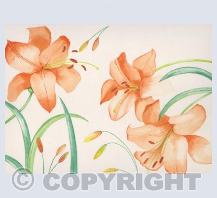 Tiger Lilies