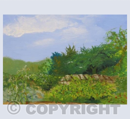 Kitchen Garden