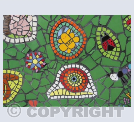 Snail: egg butterfly