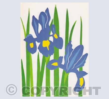Irises