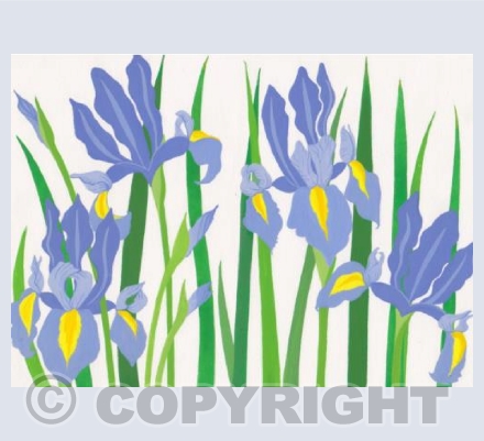 Irises
