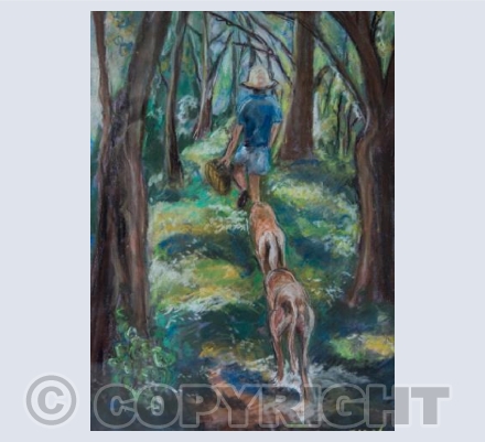 Canal walk with dogs