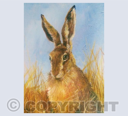 Hare