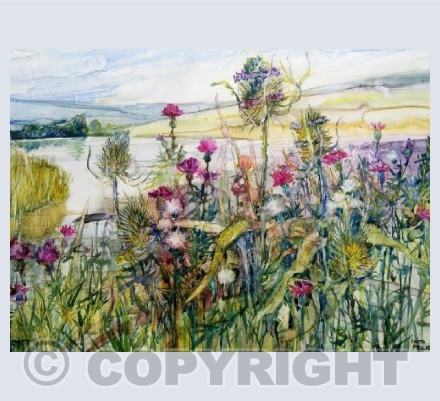 Teasels and Thistles