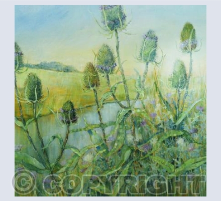 TEASELS