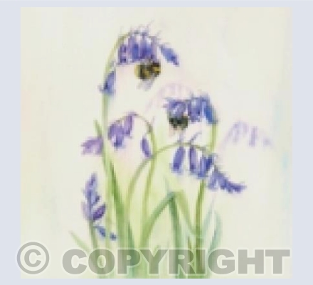 Bee on Bluebell
