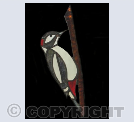 Woodpecker