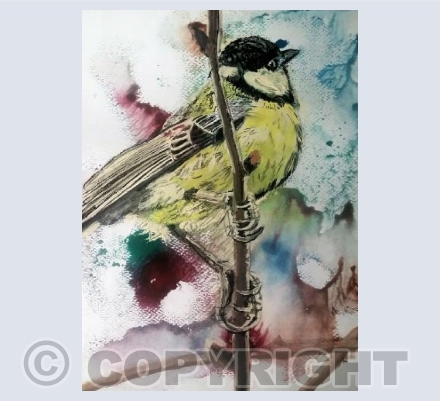 Little bird