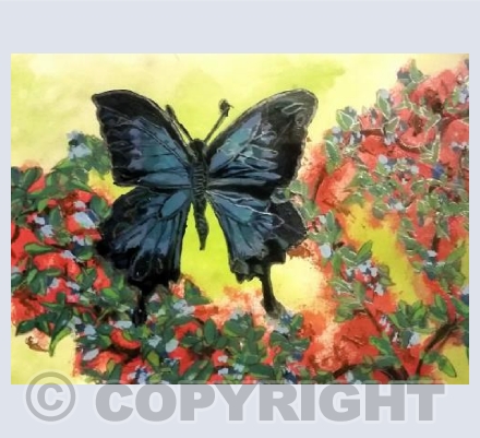 Blue butterfly