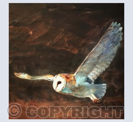 Owl Card Square