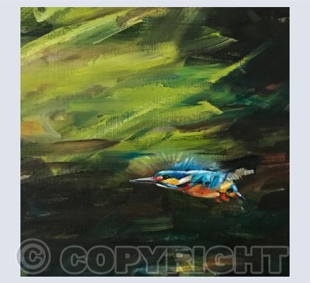Green Background Kingfisher 
