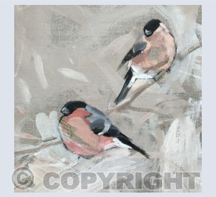 Bullfinches 