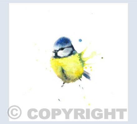 Blue tit square card