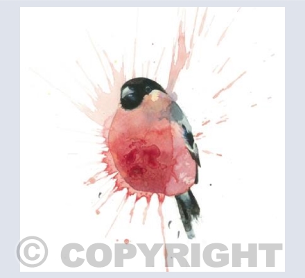 Square bullfinch card