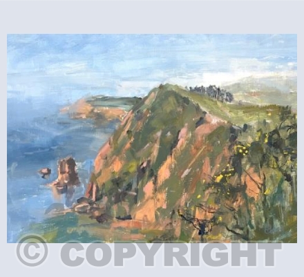 Towards Ladram Bay