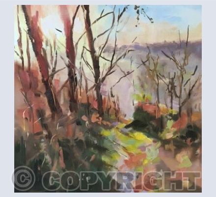 Evening Embers