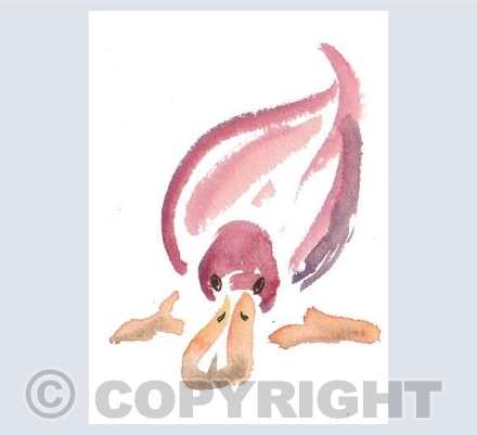 Pink Duck