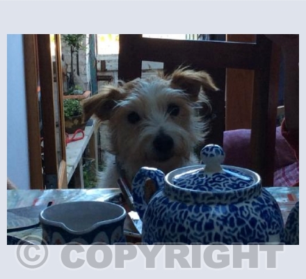 Anyone for tea
