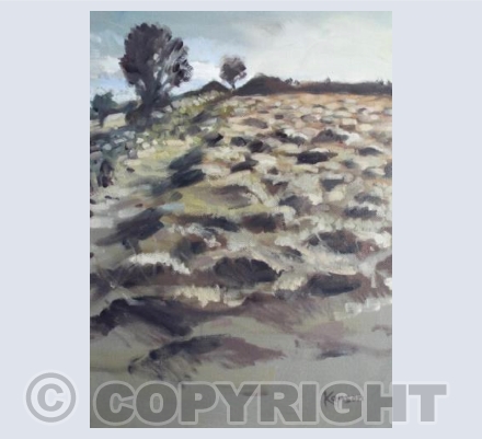 Field near Saddle Tor