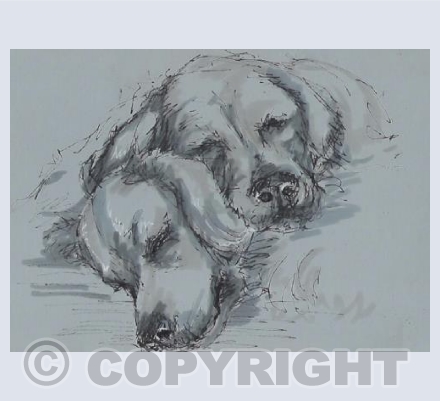 Arthur & Daisy