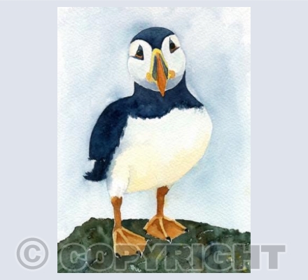 Puffin pose