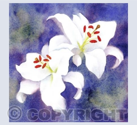 White lilies