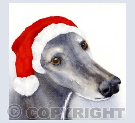 Rusty at Christmas