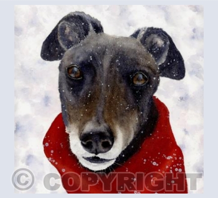 Daisy in the snow