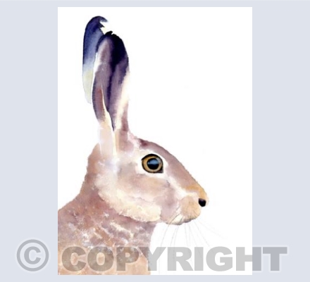 Whimsical hare