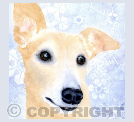 Pippy Snowflake