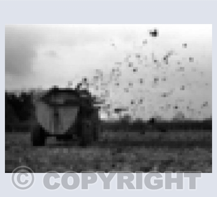 Muck Spreader