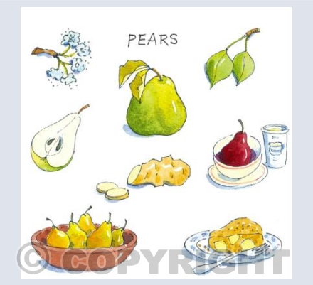 Pears