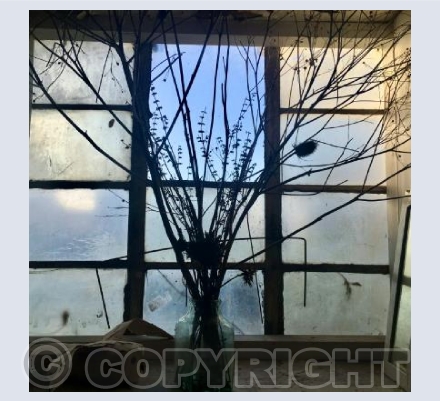 Studio Window