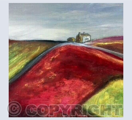 Solomons Isle Morvah