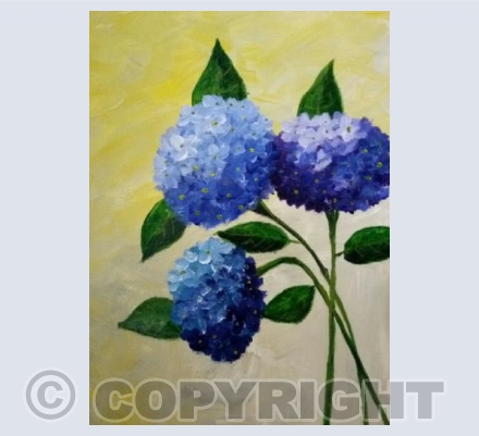 Hydrangeas