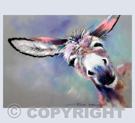Wonky Donkey