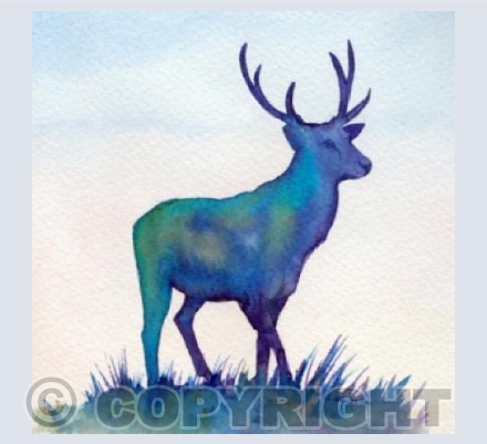 Colourful Stag 1