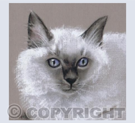 Ole' Blue Eyes