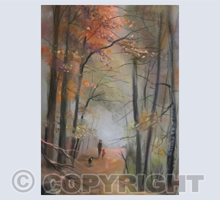 Autumn Walks